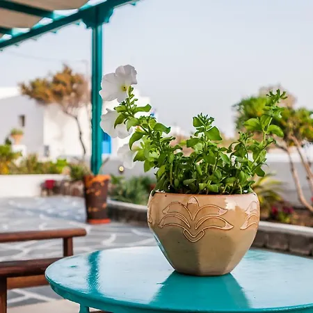 Appartement Seaside *